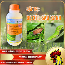 Công Thức Tính Omega: Tần Số Góc Trong Vật Lý Và Kỹ Thuật