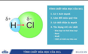 Phản Ứng Cu HCl: Giải Mã Sự Thật Về Đồng Và Axit Clohiđric
