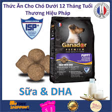 Gió Phơn Tây Nam: Đặc điểm, Cơ chế hình thành và Tác động tại Việt Nam