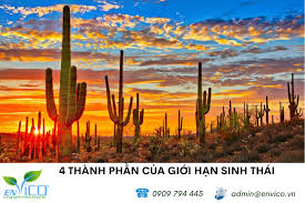 Giới Hạn Sinh Thái Là Gì? Khám Phá Bí Mật Của Sự Sống!