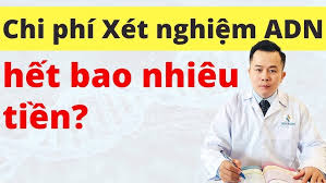 Hệ Sinh Thái Đặc Trưng của Đai Cận Nhiệt Đới Gió Mùa trên Núi