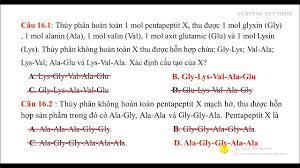 Giải Mã Phản Ứng Xà Phòng Hóa: Khi Thủy Phân Chất Béo Trong Môi Trường Kiềm Thì Thu Được Muối Của Axit Béo Và Glixerol