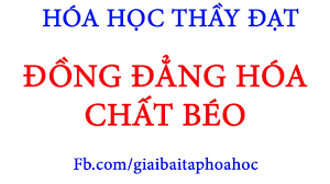 Phản Ứng Xà Phòng Hóa: Khi Thủy Phân Chất Béo Trong Môi Trường Kiềm Thì Thu Được Muối Của Axit Béo Và Glycerol