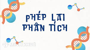 Lai Phân Tích Là Gì? Giải Mã Phép Lai Kiểm Định Trong Di Truyền Học