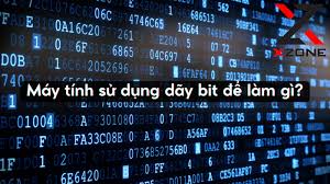 Máy tính sử dụng dãy bit để làm gì? Khám phá Nền tảng Kỷ nguyên Số