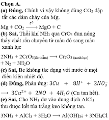 Phản ứng giữa Magiê và Cacbon Đioxit (Mg + CO2)