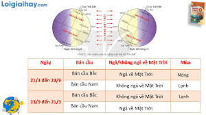 Mùa Hạ Ở Các Nước Theo Dương Lịch Tại Bán Cầu Nam Được Tính Từ Ngày Nào? Giải Mã Bí Ẩn Thiên Văn