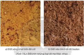 Nhân Tố Đóng Vai Trò Chủ Đạo Trong Việc Hình Thành Đất Là Gì?