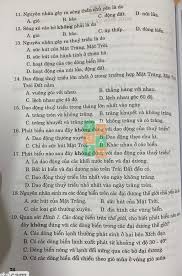 Giải Mã: Phát Biểu Nào Sau Đây Không Đúng Với Dao Động Của Thủy Triều?