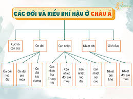 Khám phá Bí Ẩn: Tại Sao Khí Hậu Châu Á Lại Chia Thành Nhiều Đới Đến Vậy?