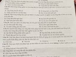 Quyền và Nghĩa Vụ Công Dân: Không Bị Phân Biệt Theo Quy Định Pháp Luật
