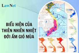 Tính chất nhiệt đới của khí hậu nước ta được thể hiện qua những đặc điểm nào?