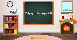 Tripeptit là Hợp Chất Gì? Khám Phá Cấu Trúc và Vai Trò Quan Trọng