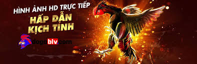 Trọng Tâm Của Tứ Diện: Định Nghĩa, Tính Chất và Ứng Dụng