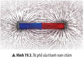 Từ Phổ Là Hình Ảnh Cụ Thể Về Điều Gì Trong Vật Lý? Khám Phá Toàn Diện