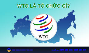 Vai trò To Lớn Của Tổ Chức Thương Mại Thế Giới Là Gì?