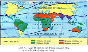 Việt Nam Nằm Trong Đới Khí Hậu Nào? Giải Mã Đặc Trưng Khí Hậu Nhiệt Đới Gió Mùa Độc Đáo